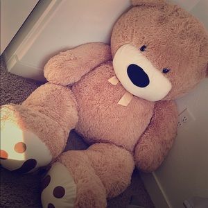 Teddy bear